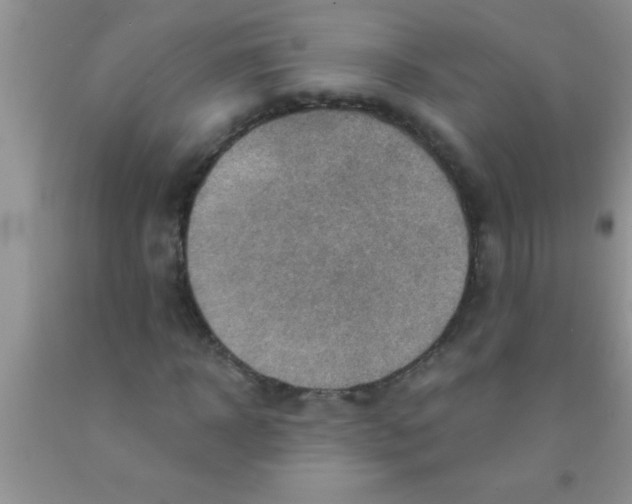 X0000091340918200709071215