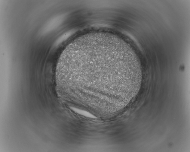 X0000091340919200709071215