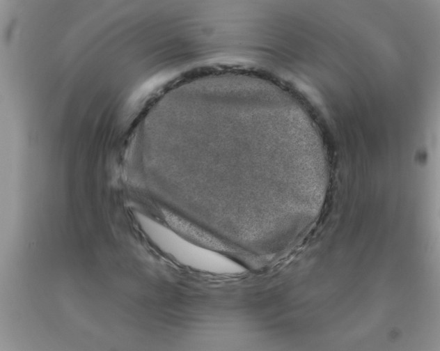 X0000091340920200709071215