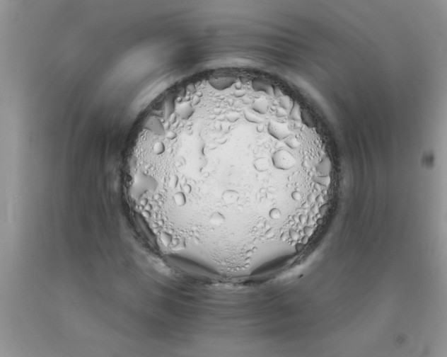 X0000091340921200709071215