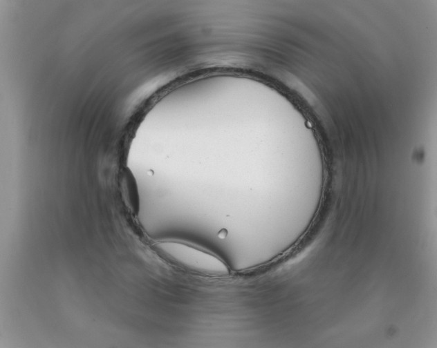 X0000091340922200709071215