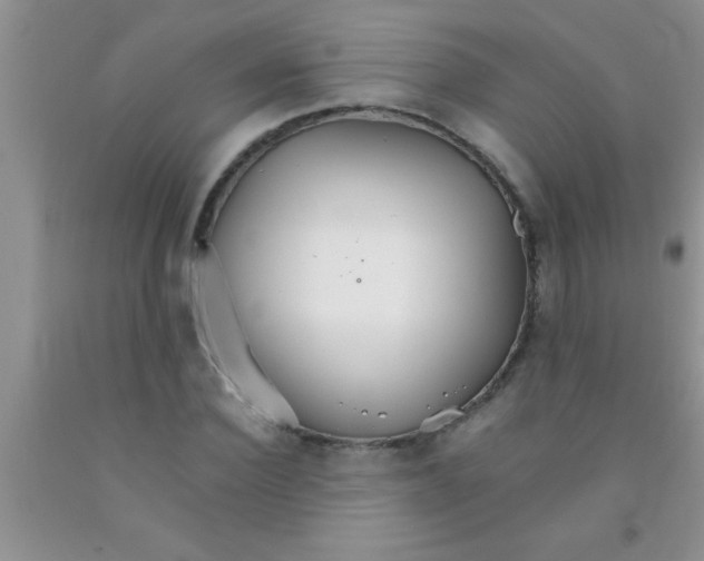 X0000091340924200709071215