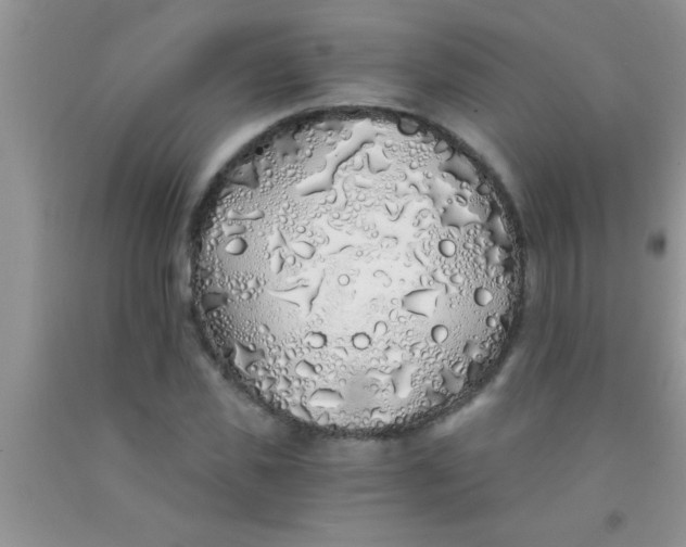 X0000091340925200709071215