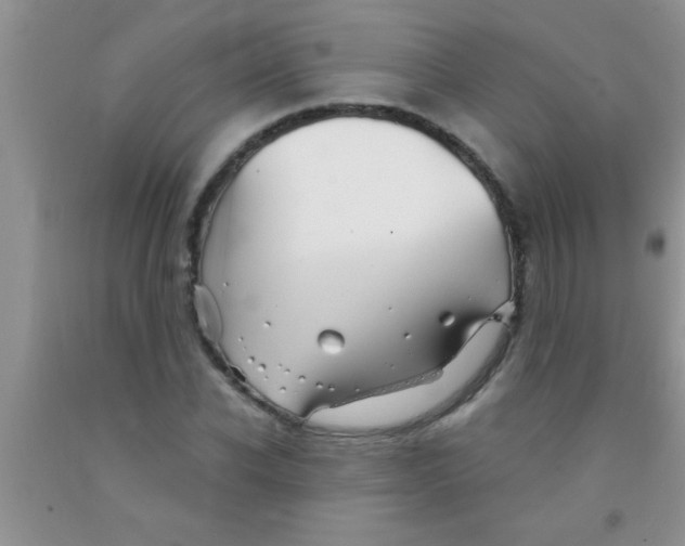 X0000091340926200709071215