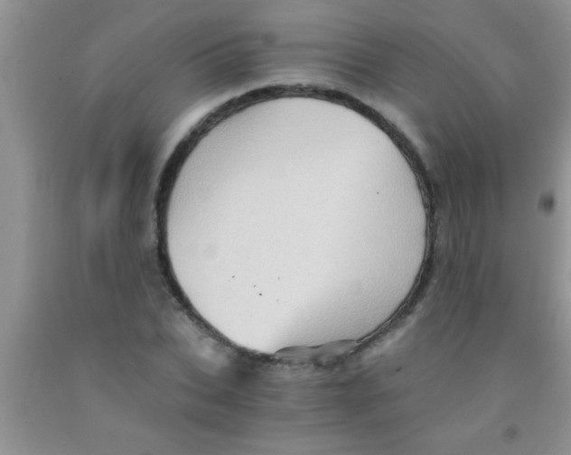 X0000091340927200709071215