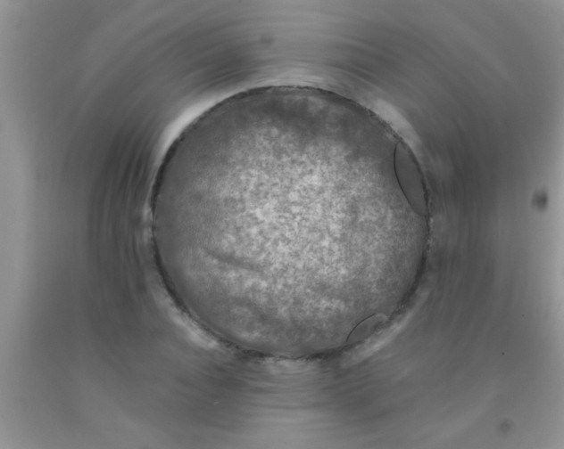 X0000091340928200709071215