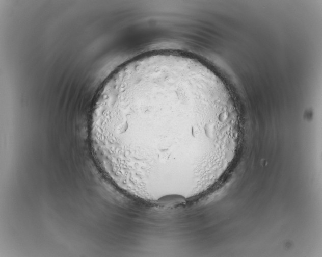 X0000091340929200709071215