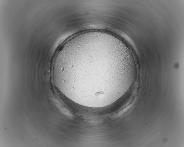 X0000091340930200709071215