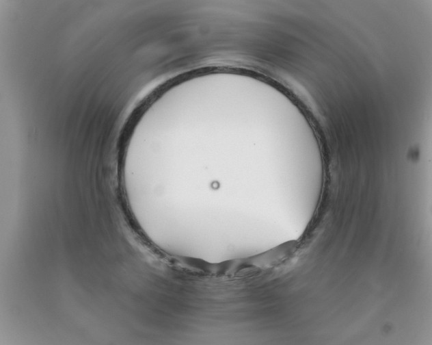 X0000091340931200709071215