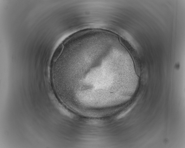 X0000091340932200709071215