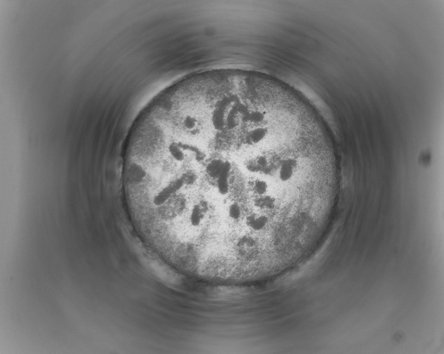 X0000091340933200709071215