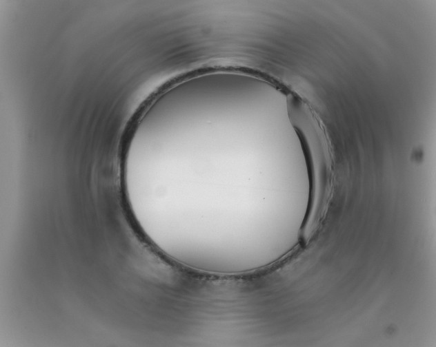 X0000091340934200709071215