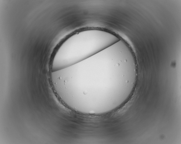 X0000091340935200709071215