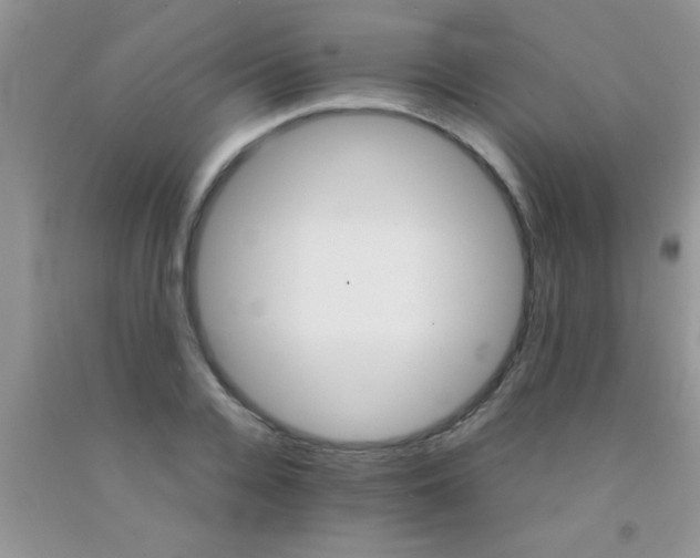 X0000091340936200709071215