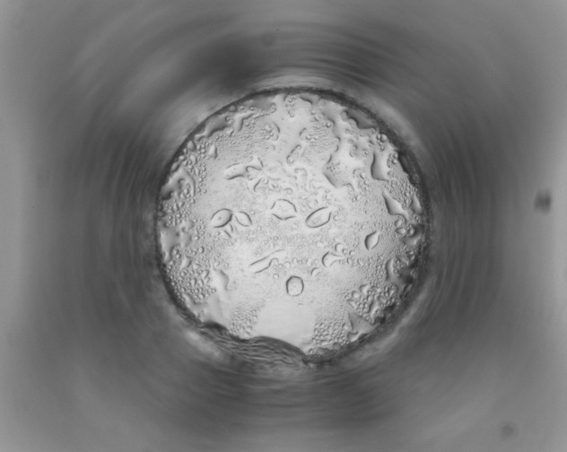 X0000091340937200709071215