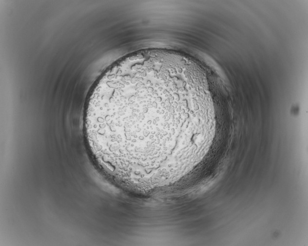 X0000091340938200709071215