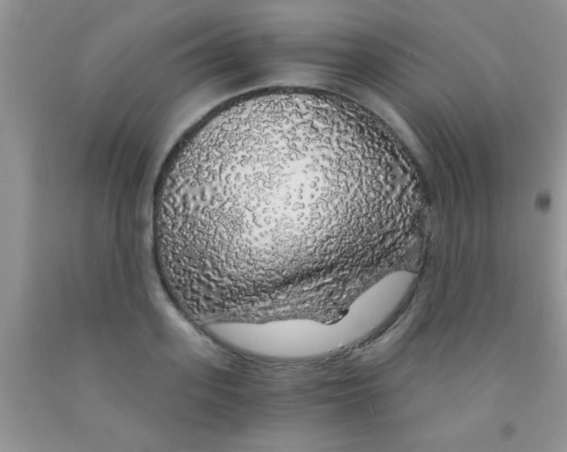 X0000091340939200709071215