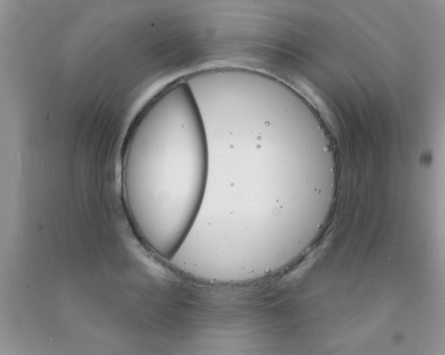 X0000091340940200709071215