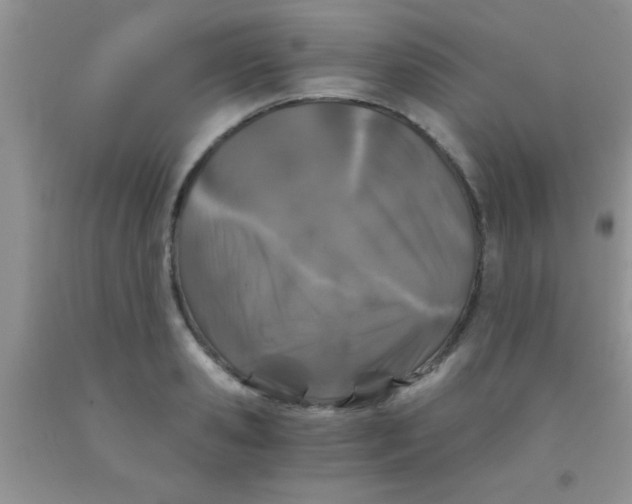 X0000091340941200709071215