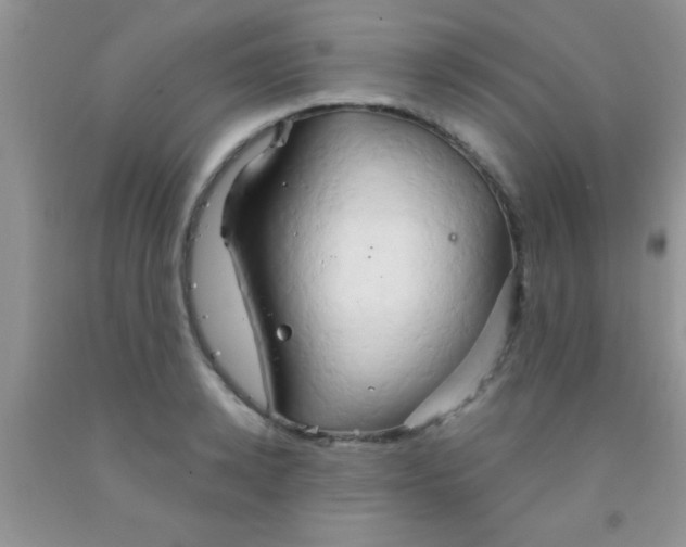 X0000091340942200709071215