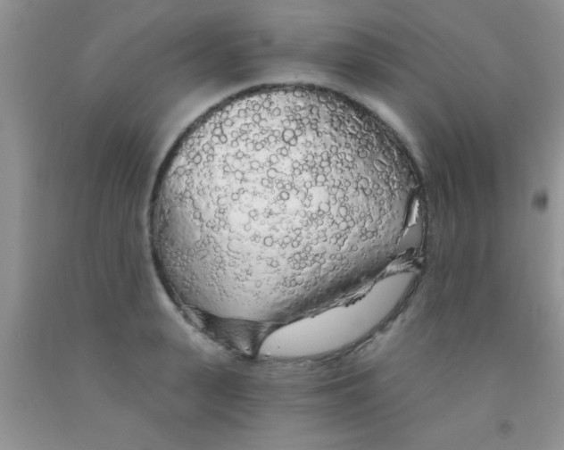 X0000091340943200709071215