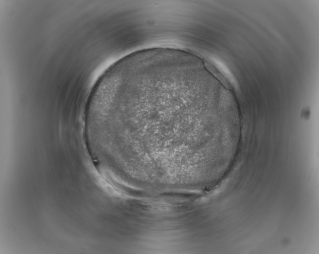 X0000091340944200709071215