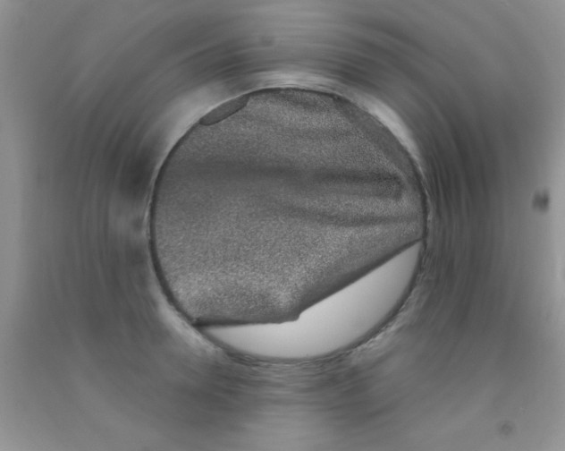 X0000091340946200709071215