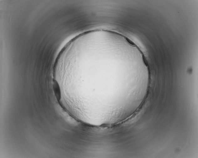 X0000091340948200709071215