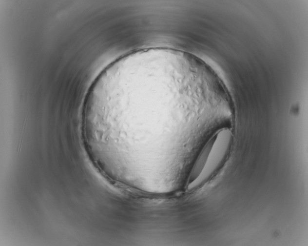 X0000091340949200709071215