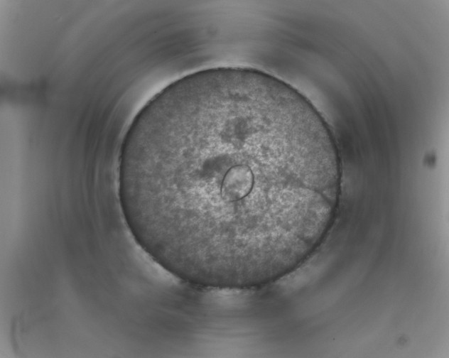 X0000091340950200709071215