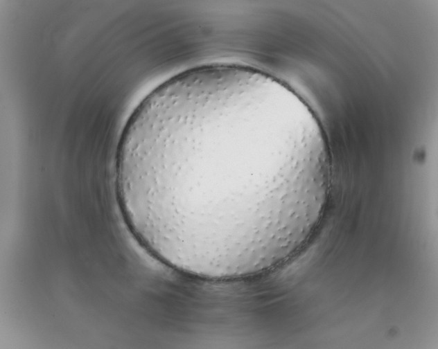 X0000091340951200709071215