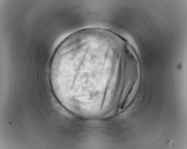 X0000091340952200709071215