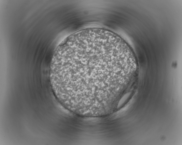 X0000091340953200709071215