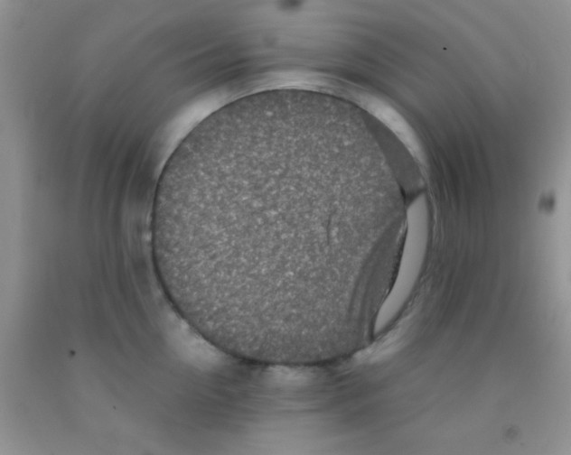 X0000091340954200709071215