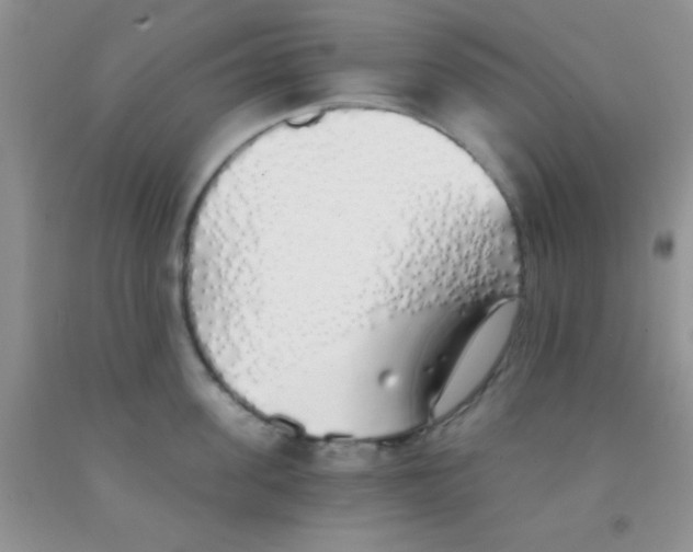 X0000091340955200709071215