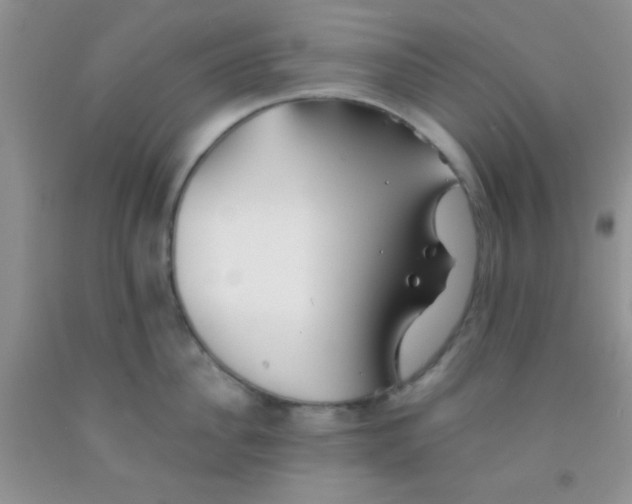 X0000091340956200709071215