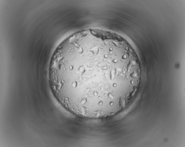 X0000091340957200709071215