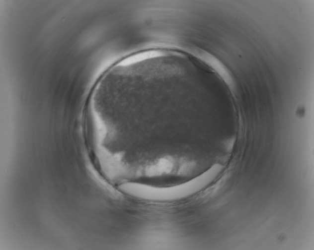 X0000091340958200709071215