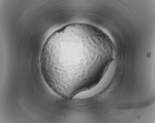 X0000091340959200709071215