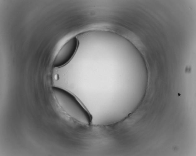 X0000091340960200709071215