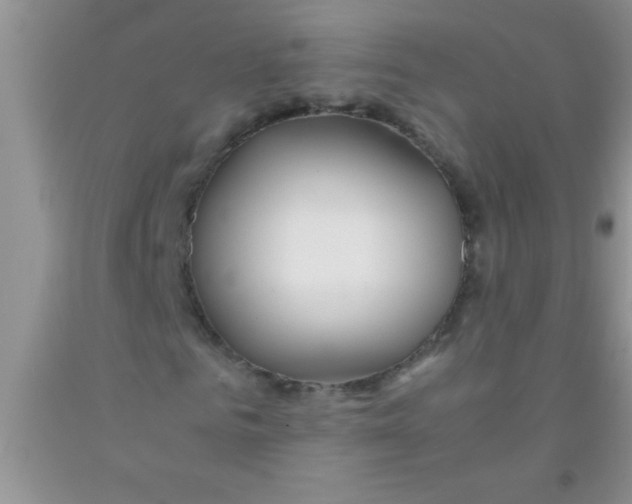 X0000091340961200709071215