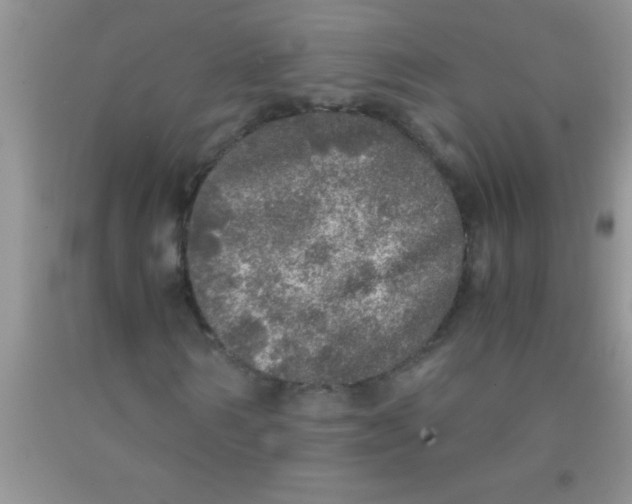 X0000091340962200709071215