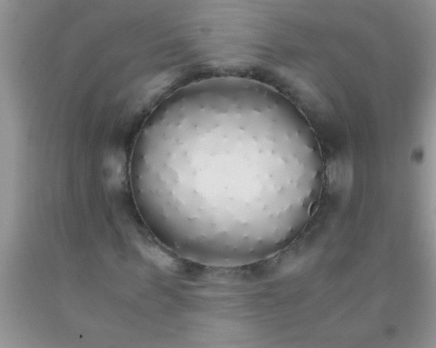 X0000091340963200709071215