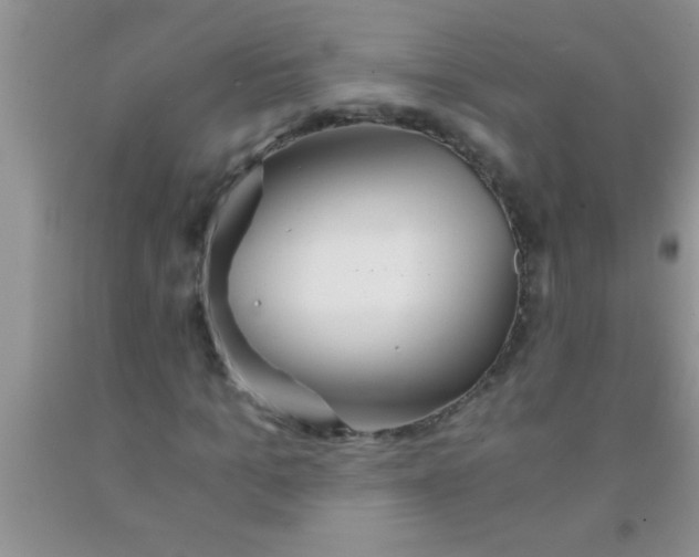 X0000091340965200709071215