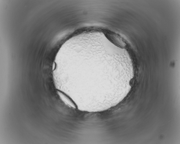 X0000091340967200709071215