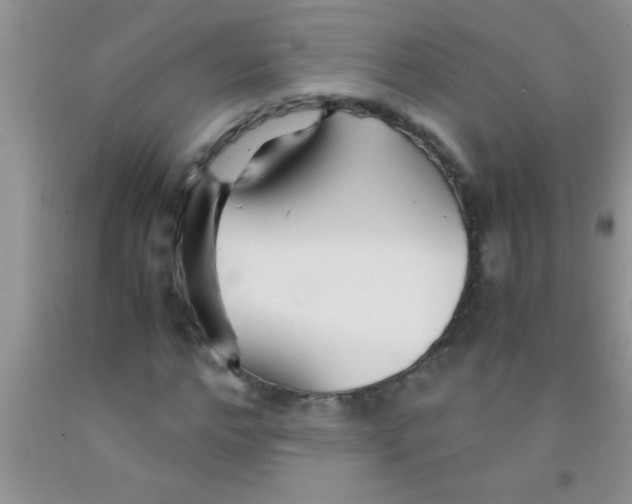 X0000091340968200709071215