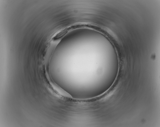 X0000091340969200709071215