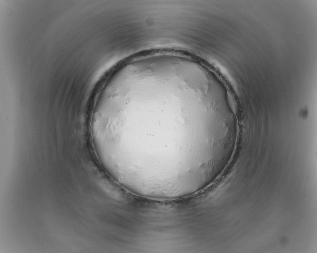 X0000091340975200709071215