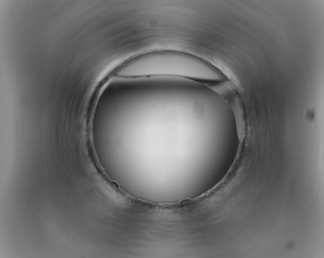 X0000091340976200709071215