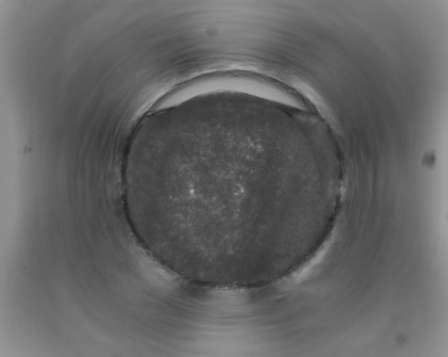 X0000091340977200709071215